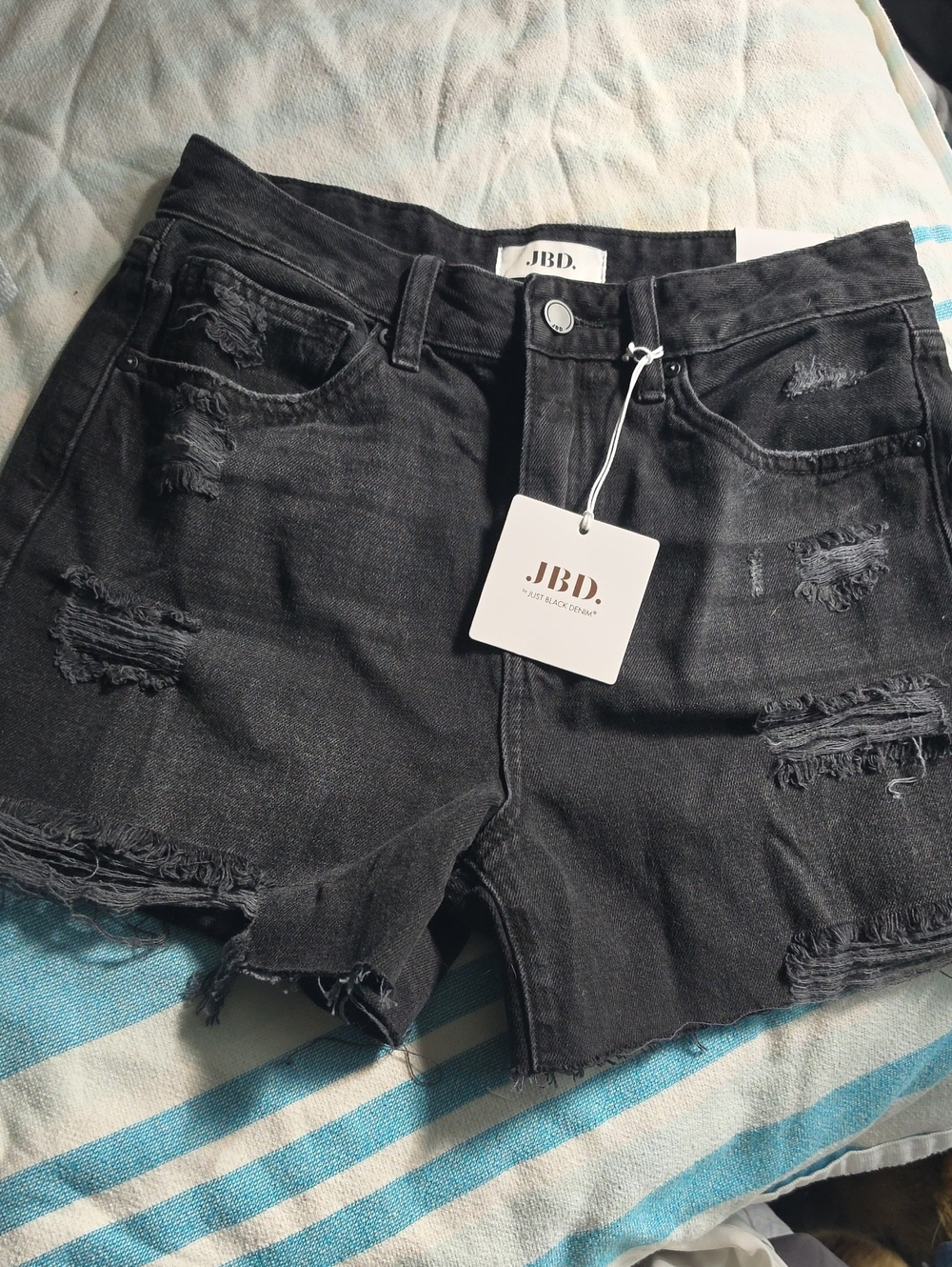 Black Distressed Denim Women's Shorts JBD Denim Medium NWT